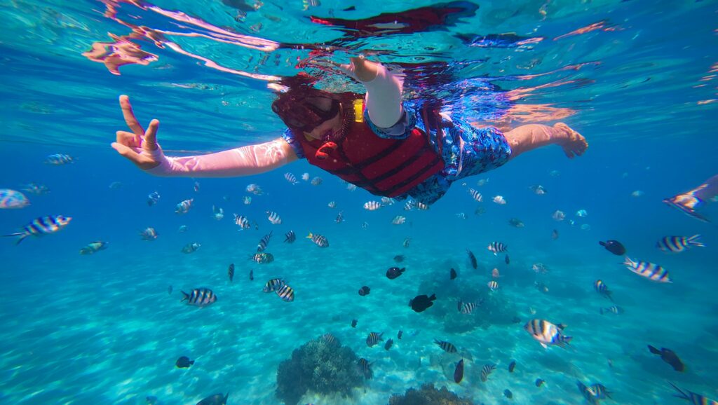 Diving Pemuteran