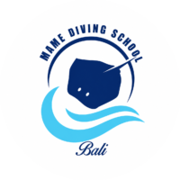 Mame Diving School