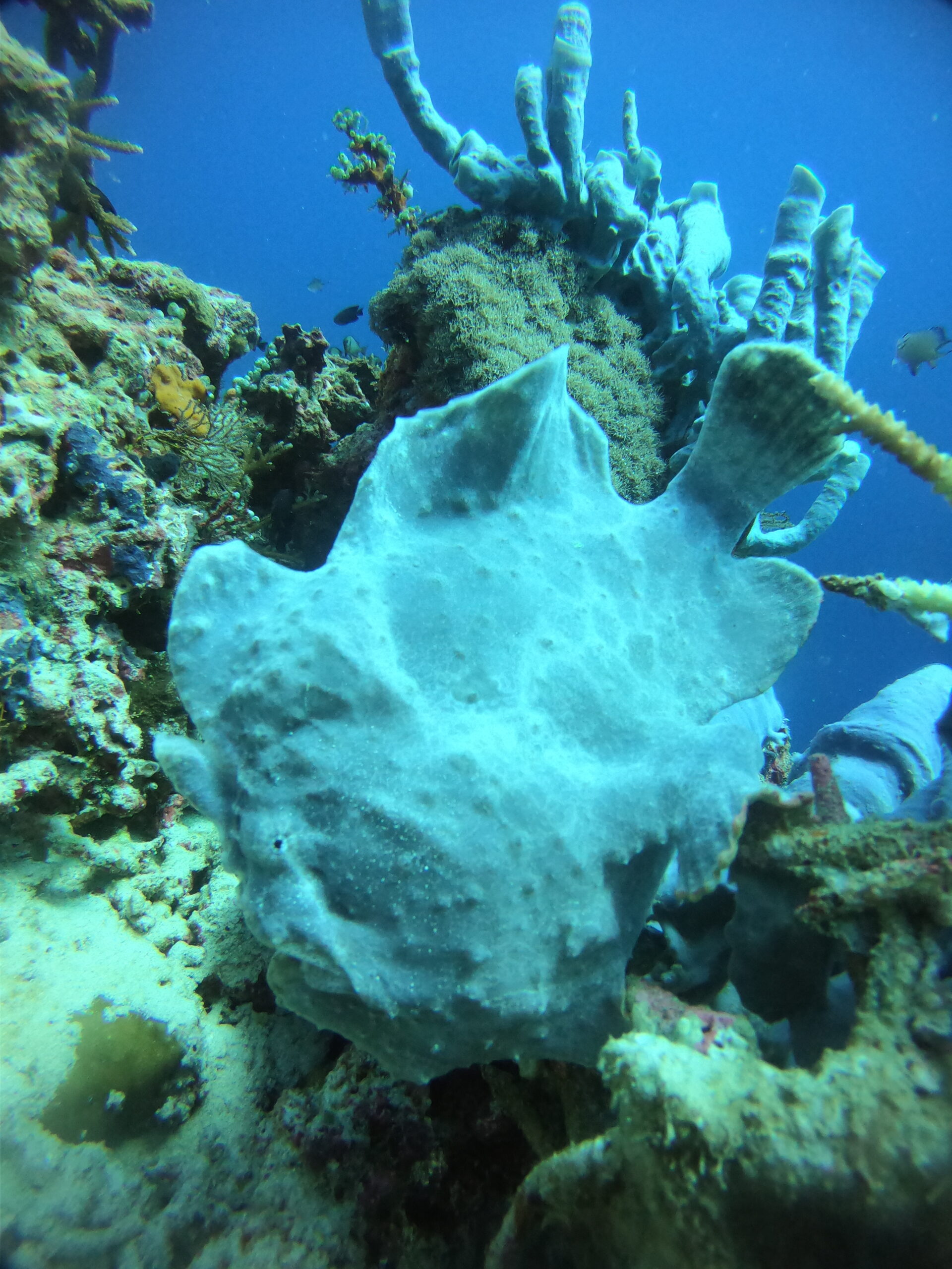 DCIM100GOPROGOPR4861.JPG