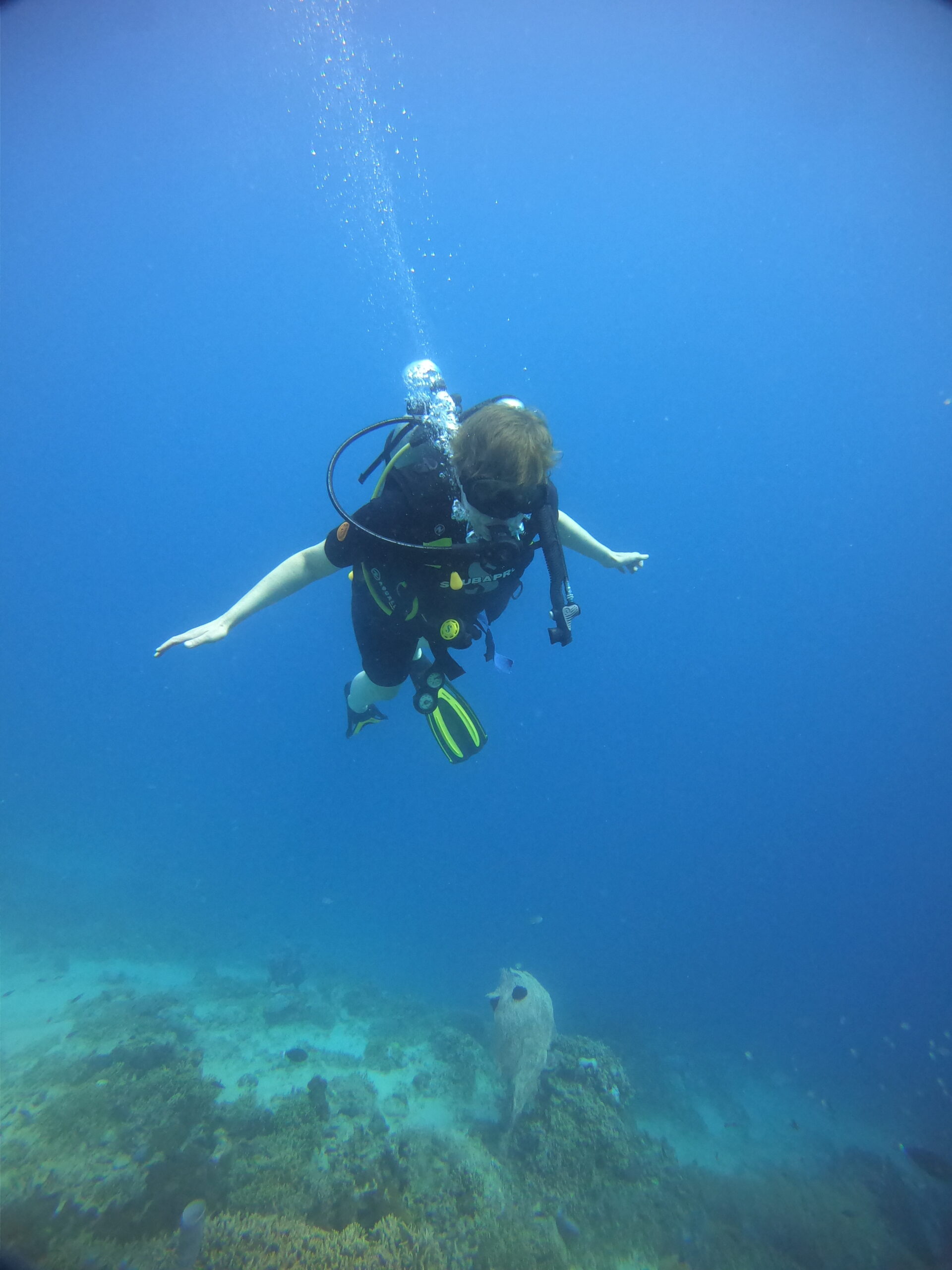 DCIM100GOPROGOPR4903.JPG