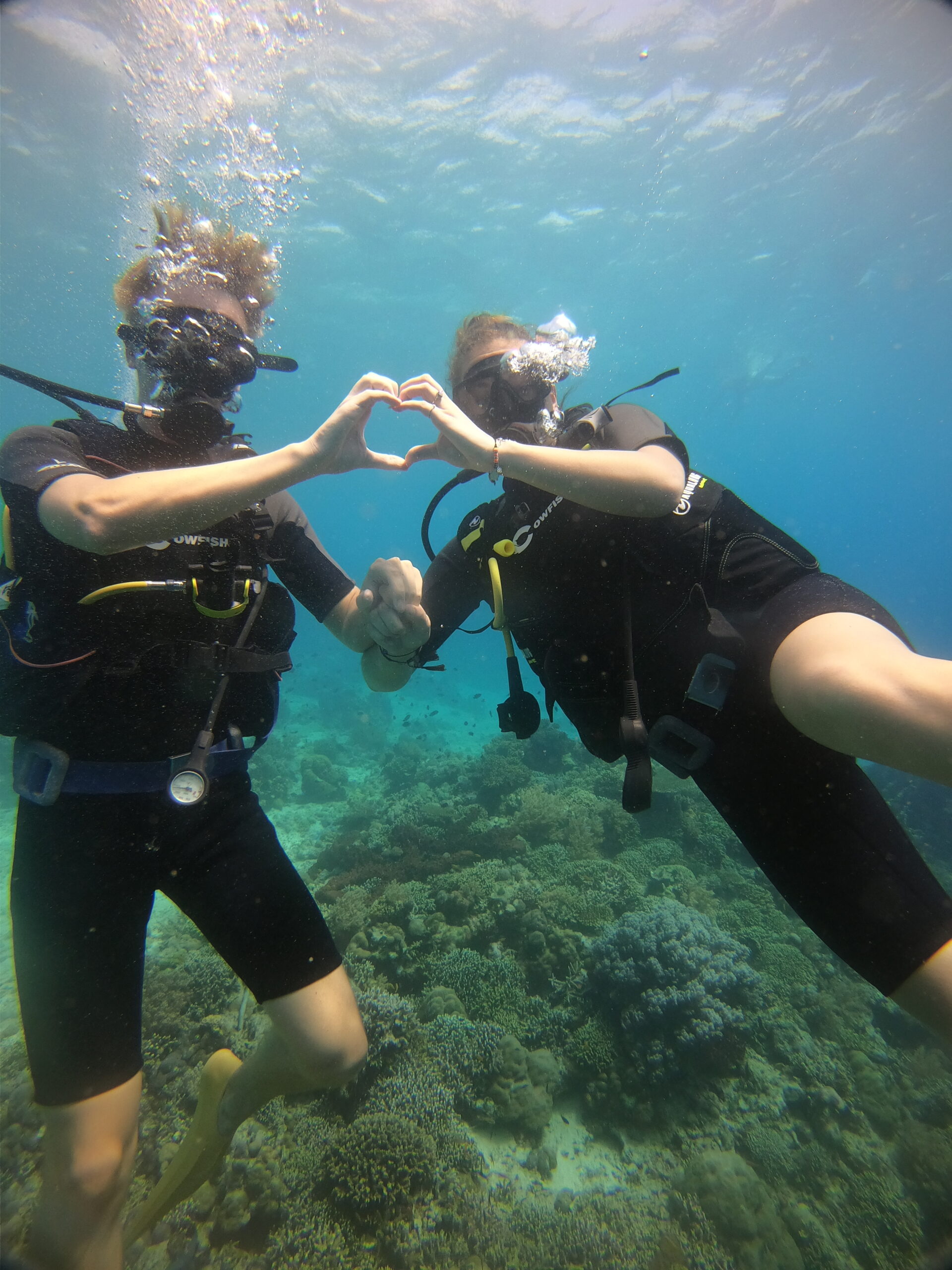 PADI courses