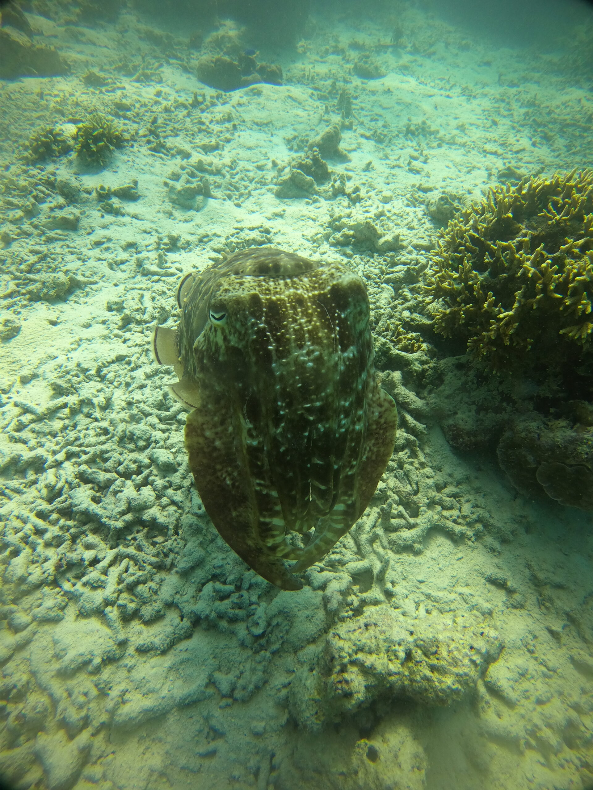 DCIM100GOPROGOPR4830.JPG