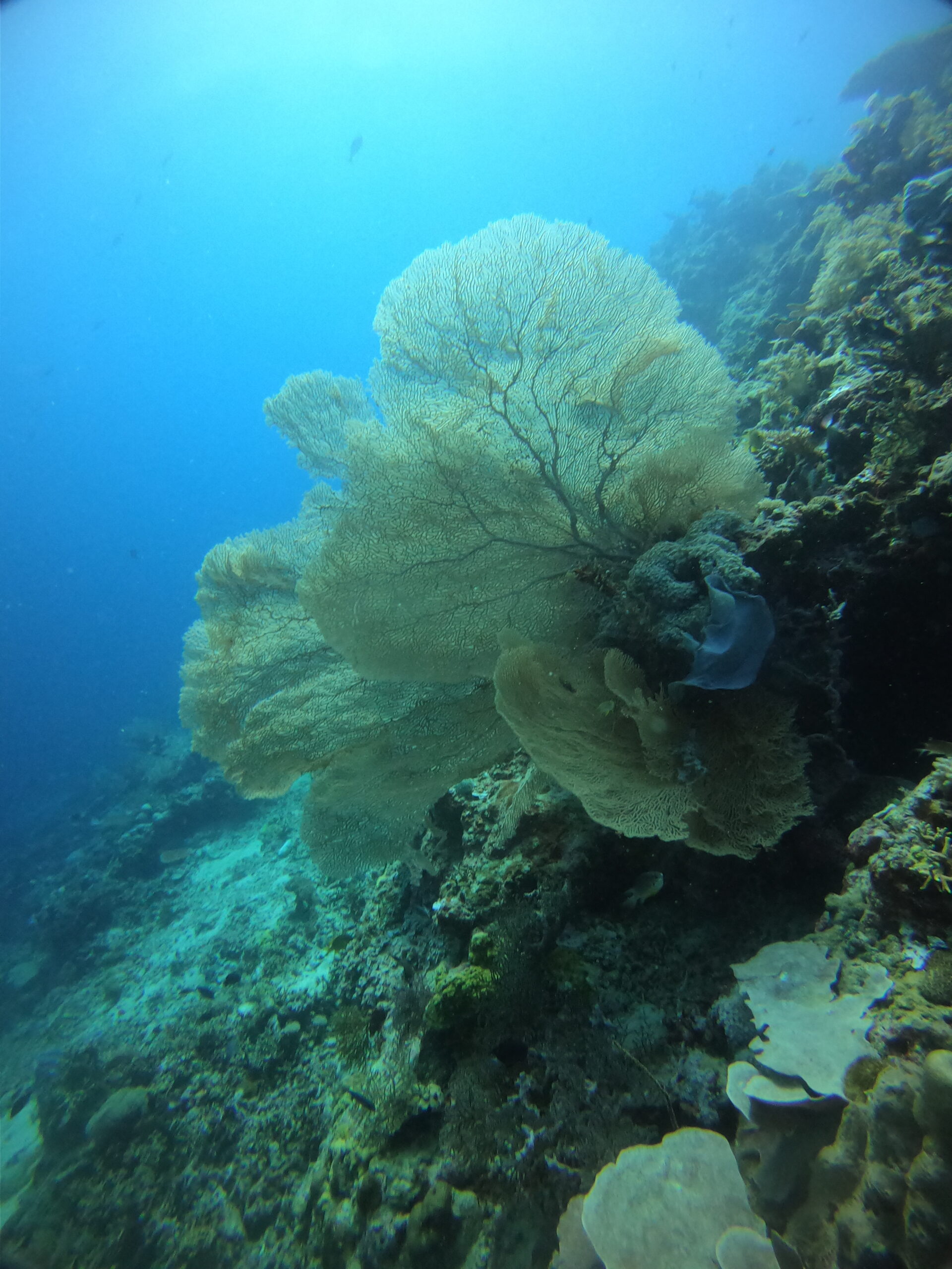 DCIM100GOPROGOPR4849.JPG