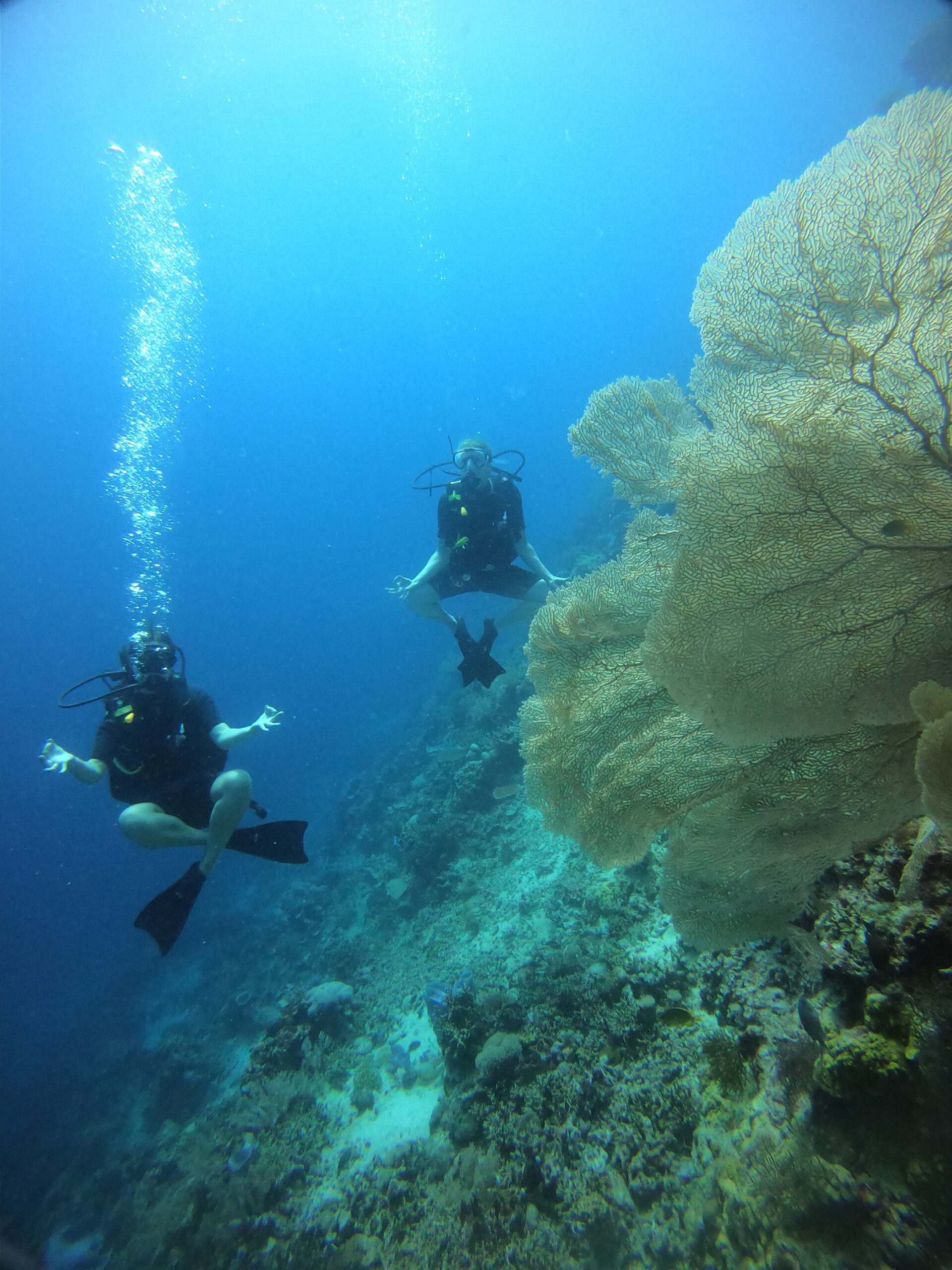 DCIM100GOPROGOPR4850.JPG