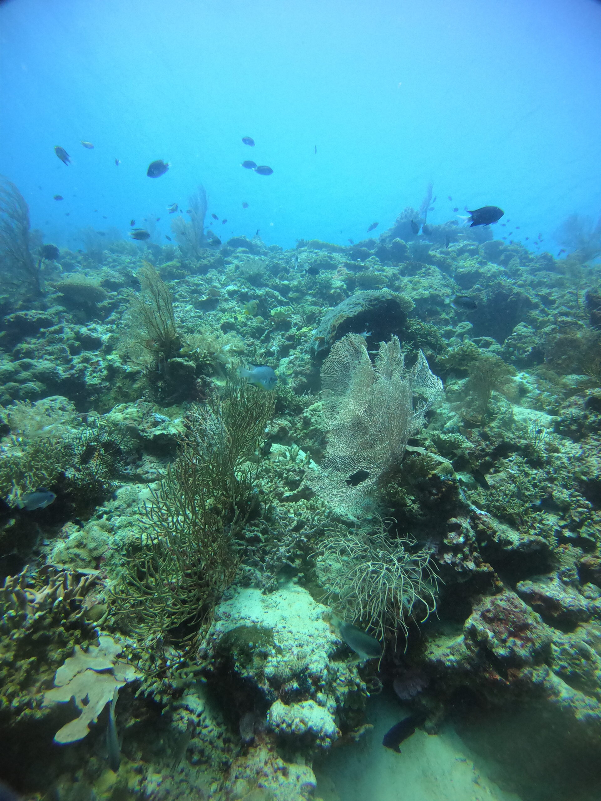 DCIM100GOPROGOPR4855.JPG