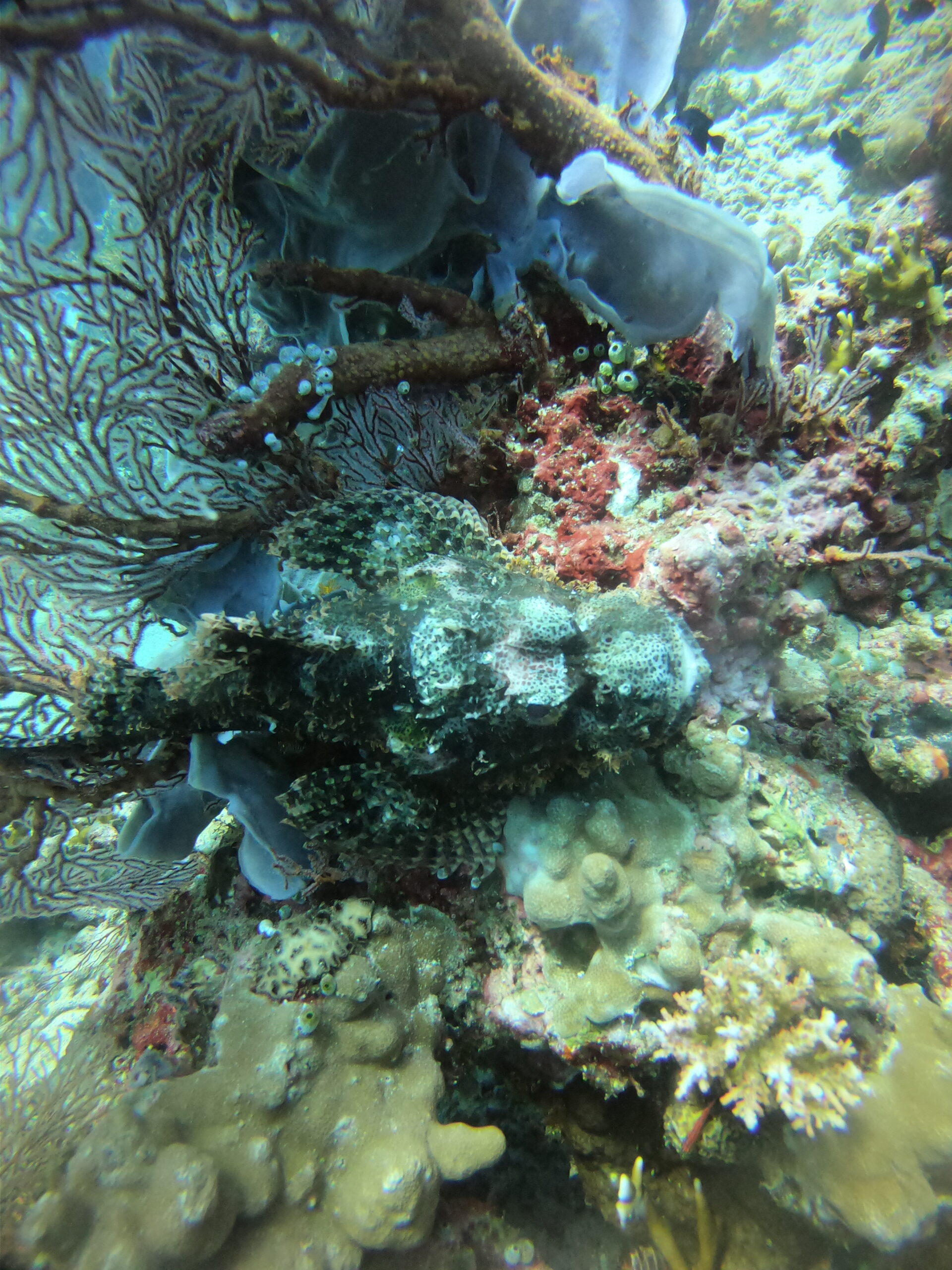DCIM100GOPROGOPR4864.JPG