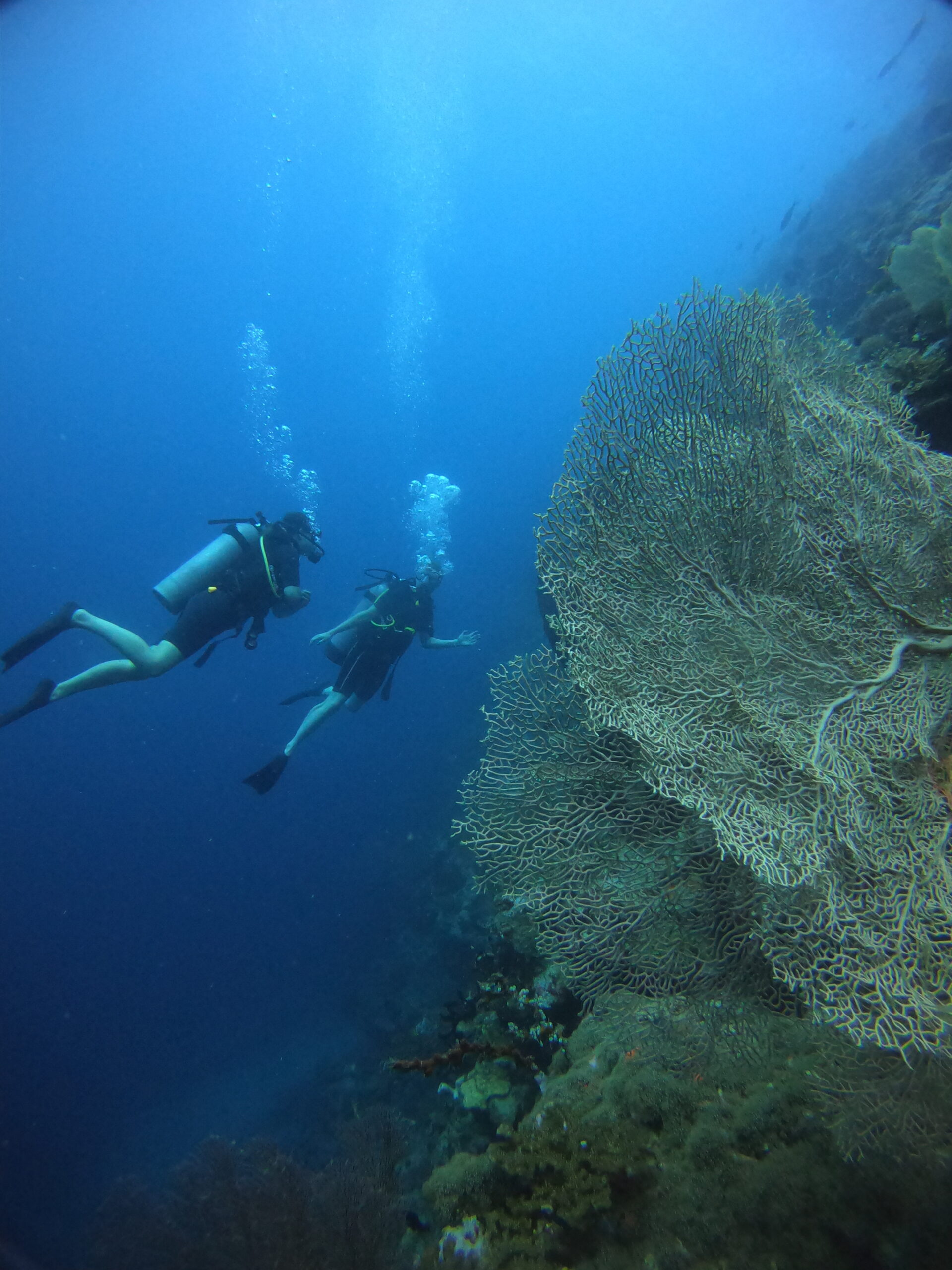 DCIM100GOPROGOPR4870.JPG