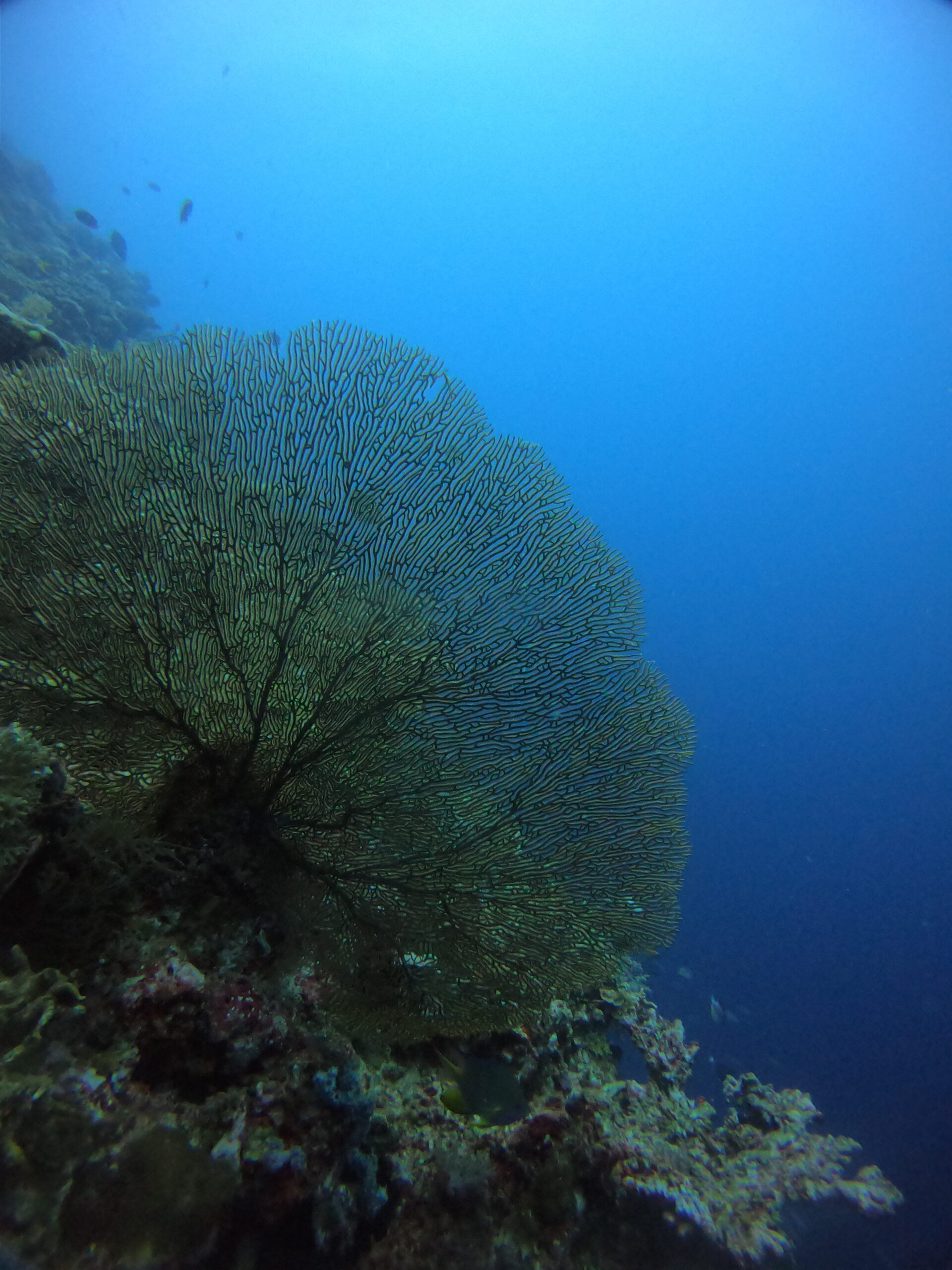 DCIM100GOPROGOPR4873.JPG