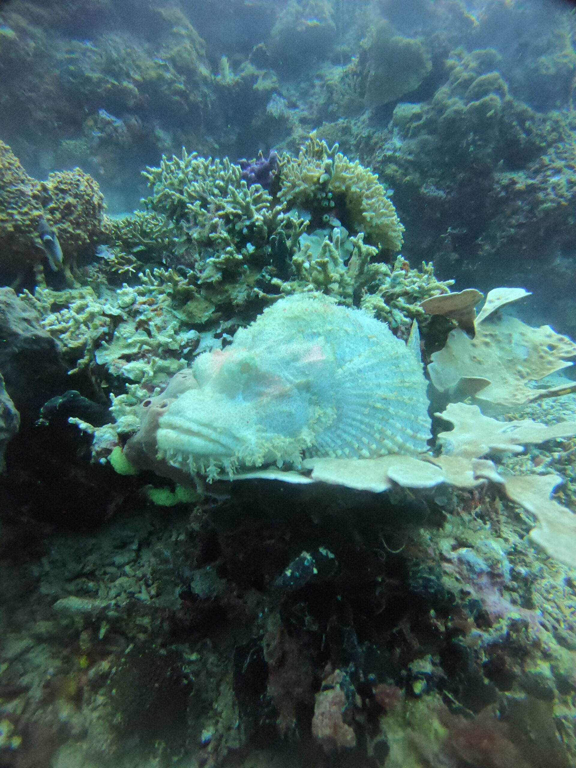 DCIM100GOPROGOPR4890.JPG