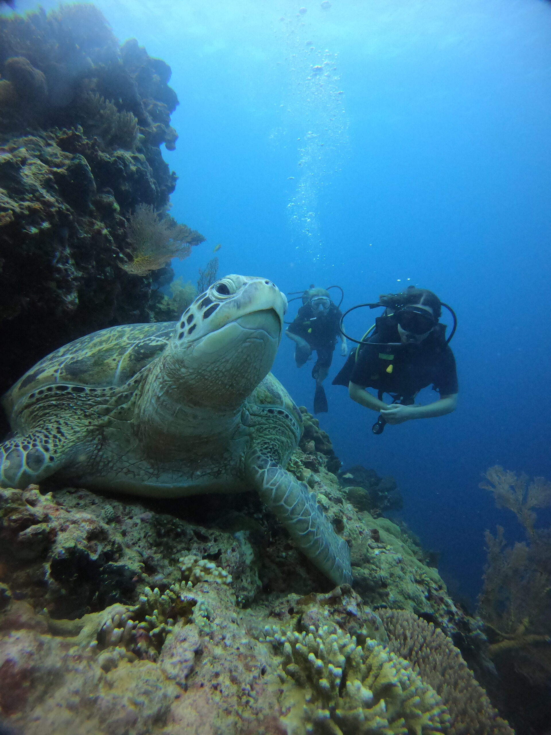 cours PADI Bali