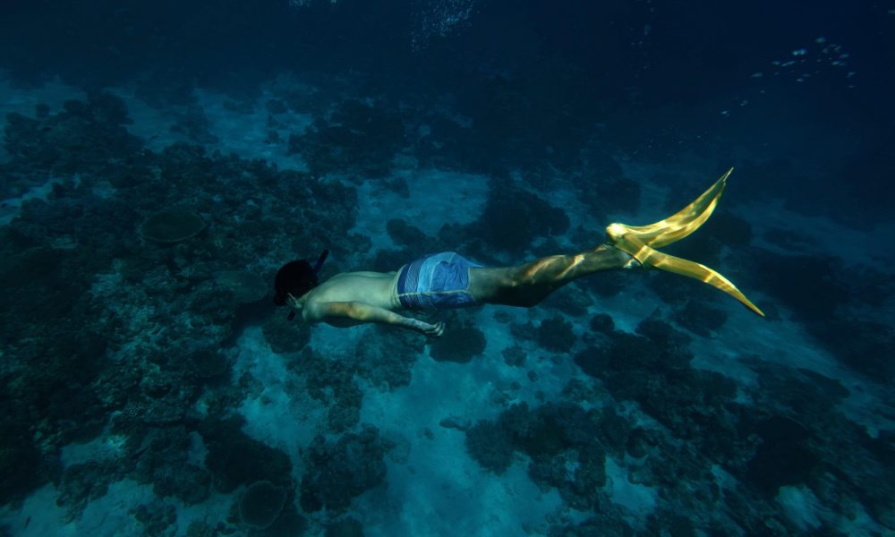 Diving Pemuteran